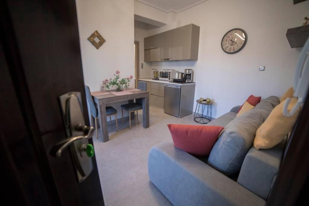 Meteora Homey Apartment *
